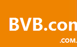 bvb.com.cn