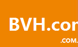 bvh.com.cn