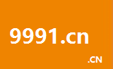 9991.cn